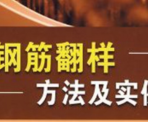 鋼筋翻樣方法及實例