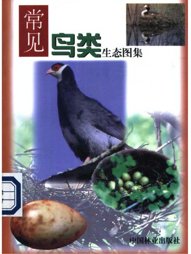  文件 常見鳥類生態圖集(優化).pdf